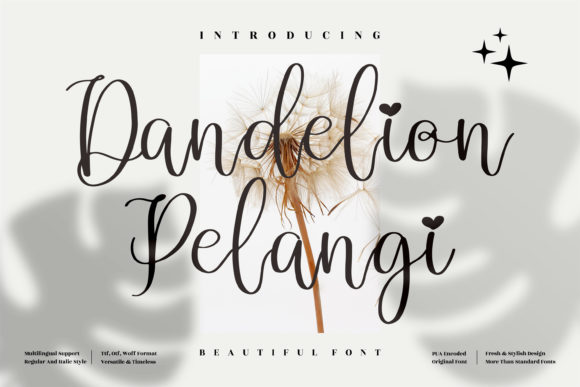 Enhance Your Brand with Dandelion Pelangi