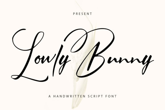 Lowly Bunny