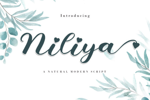 Niliya: A Script Font with a Romantic Touch